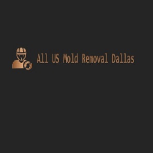 Get in mold removal dallas