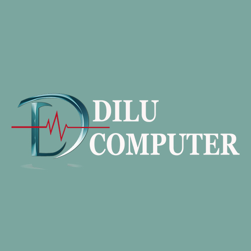 Dilu computer