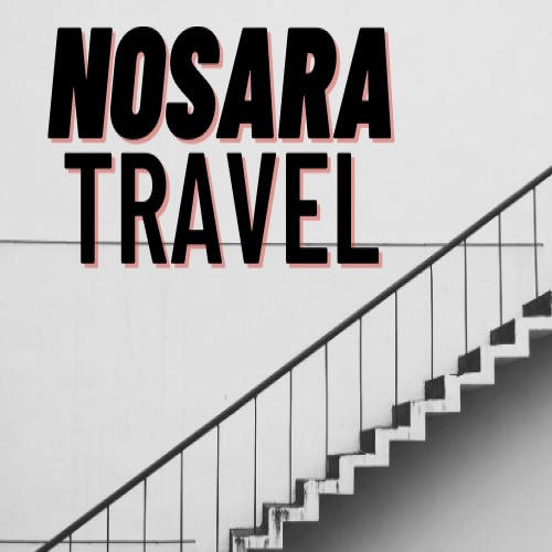 Nosara travel - kỹ thuật chăm sóc gà đá