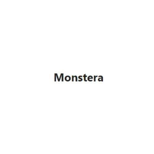 Cây trầu bà lá xẻ monstera