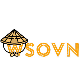 Wsovn net