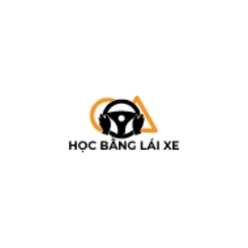 Học lái xe bằng c