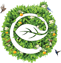 Biệt thự ecopark