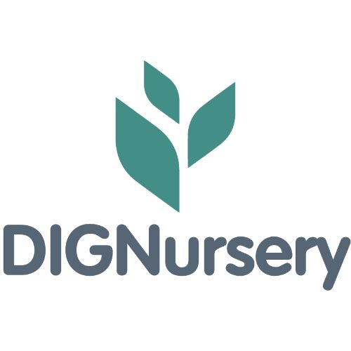 Dig nursery