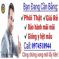 Làm bằng đại học