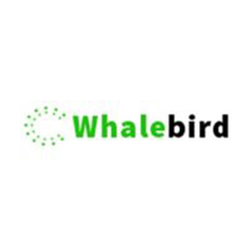 Whalebird whalebird