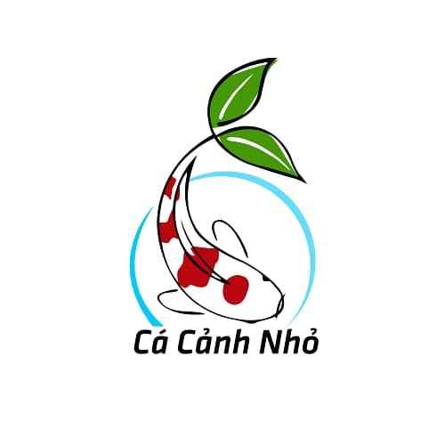 Cá cảnh nhỏ việt nam