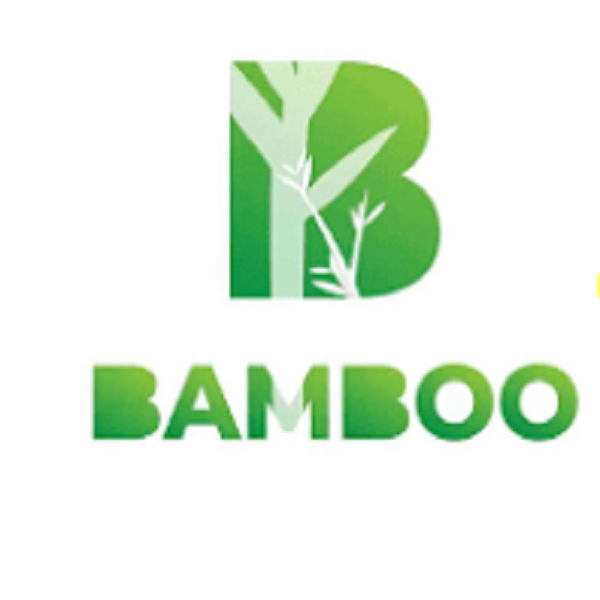 Bamboo credit
