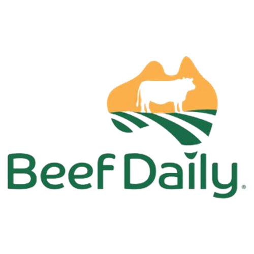 Beef daily