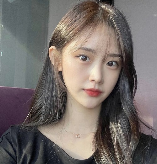 Trần mai trà