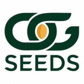 Og seeds