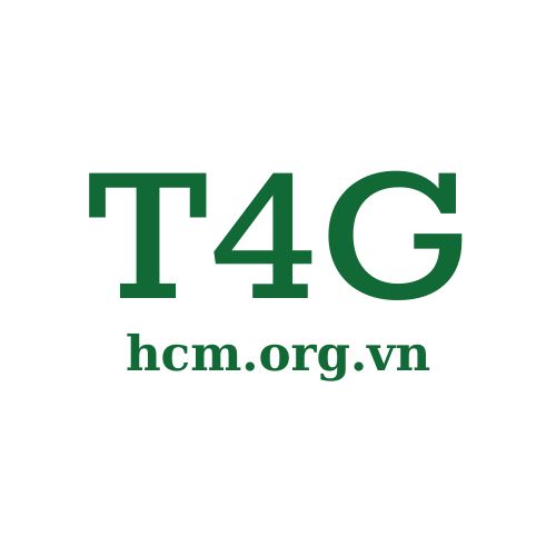 T4ghcm org