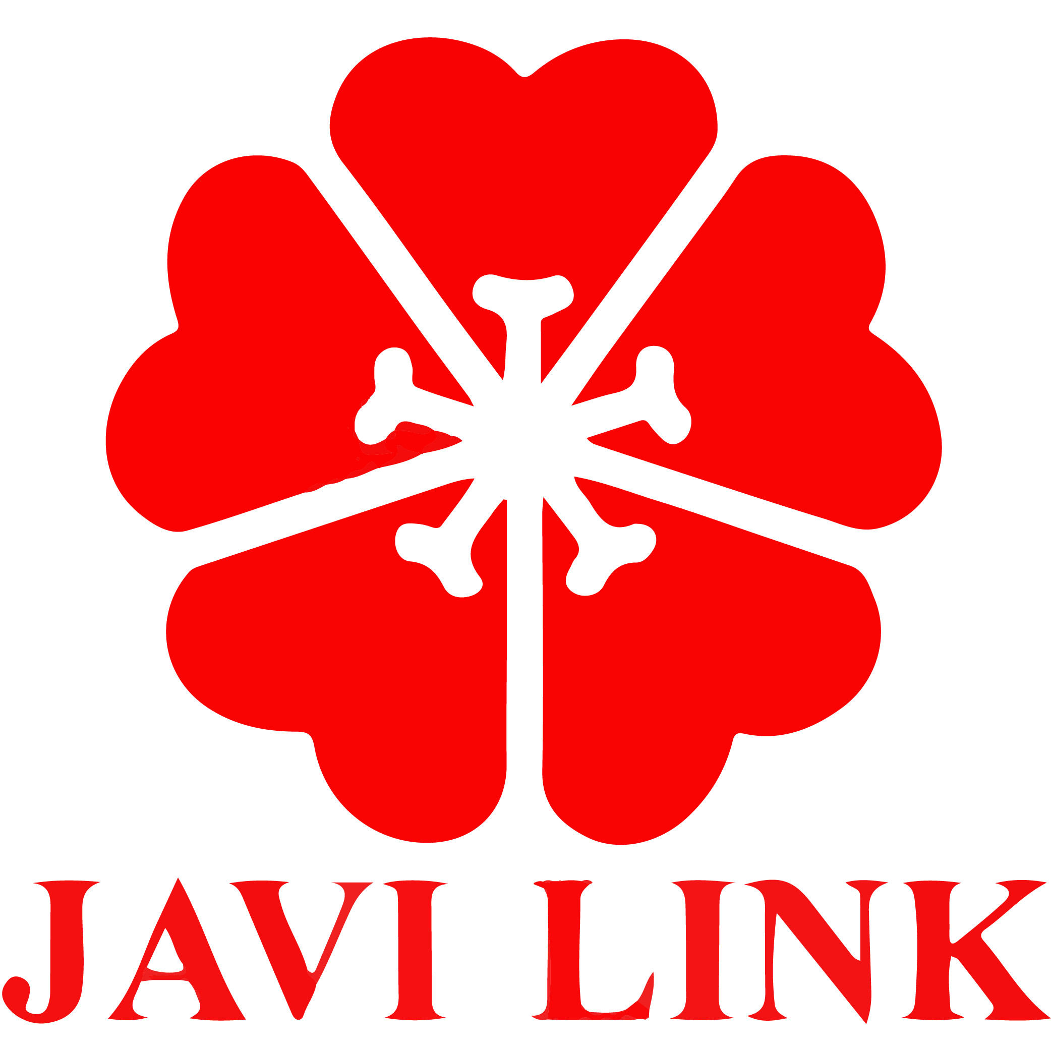 Duong lao javilink