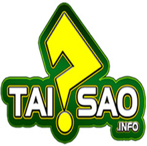 Tại sao info