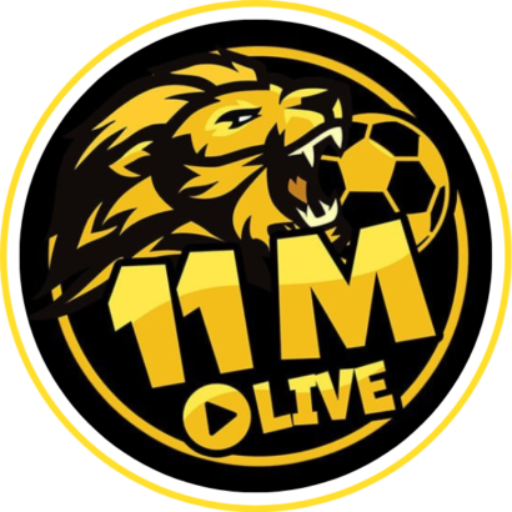 11m 11m news