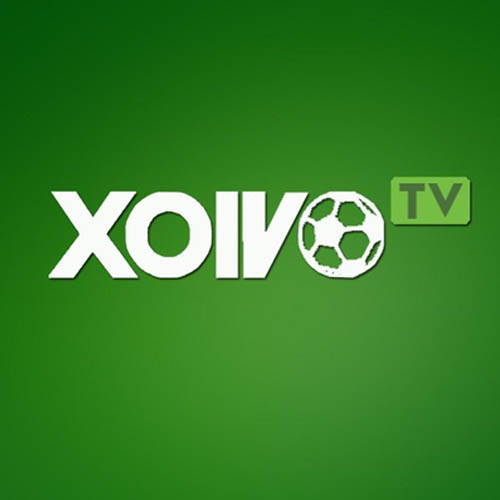Xoivo tv dongyhoanganh