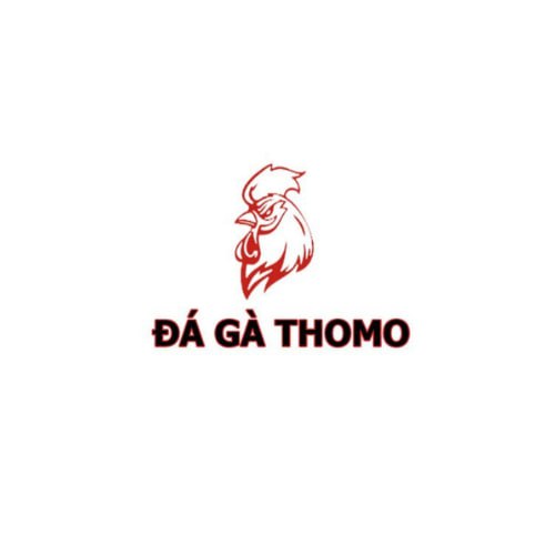 Thomo360 đá gà