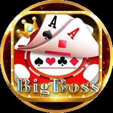 Bigboss igcom