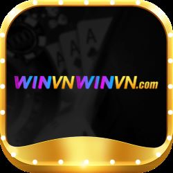 Winvnwinvn com