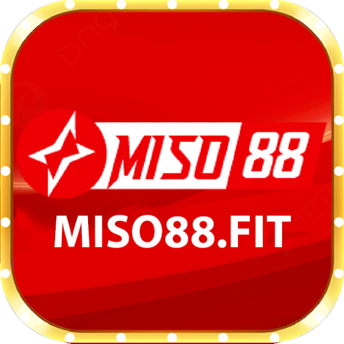 Miso 88