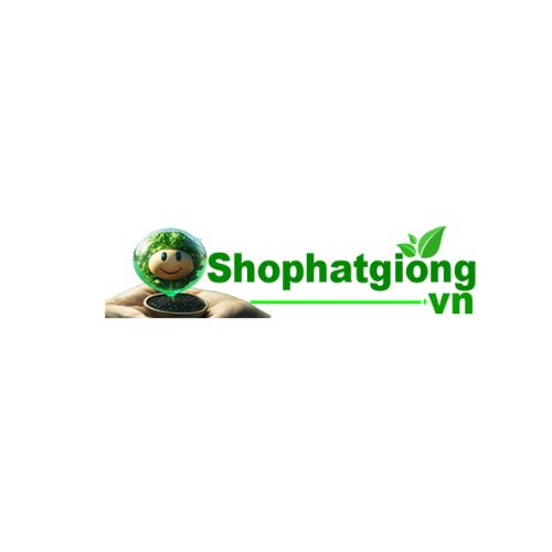 Shop hat giong