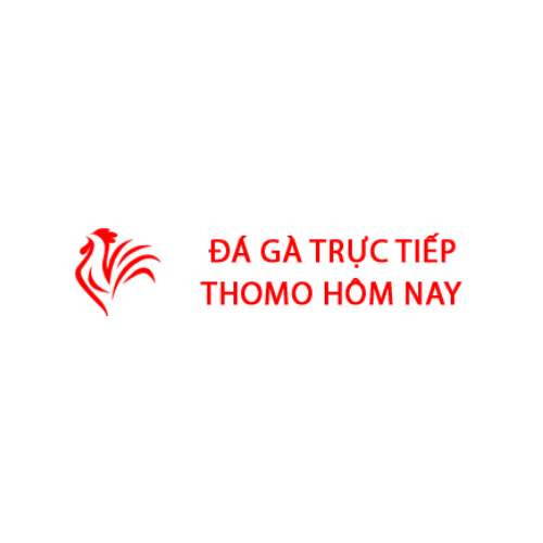Đá gà trực tiếp thomo hôm nay