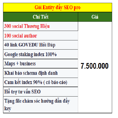 Dichvuentity vuawebdigi