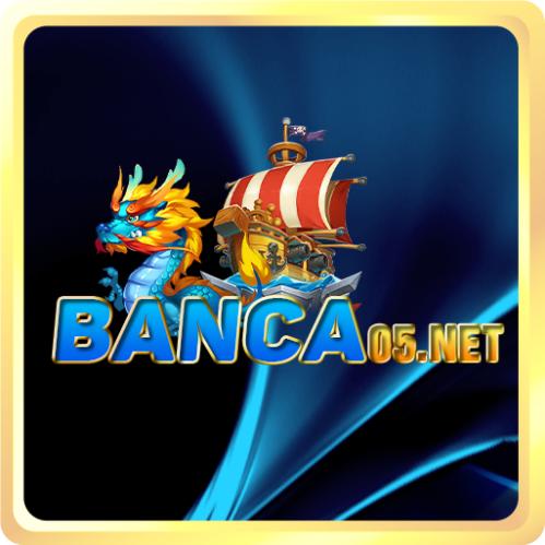 Banca05 net1