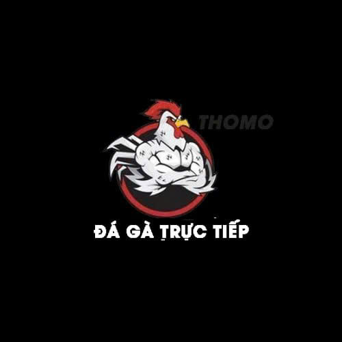 Đá gà thomo