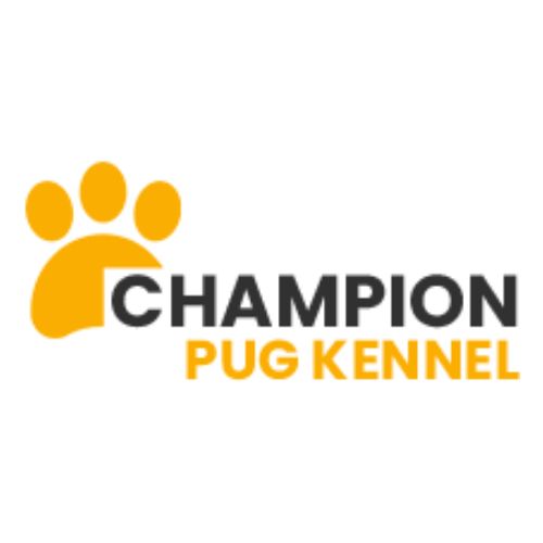 Champion pug kennels