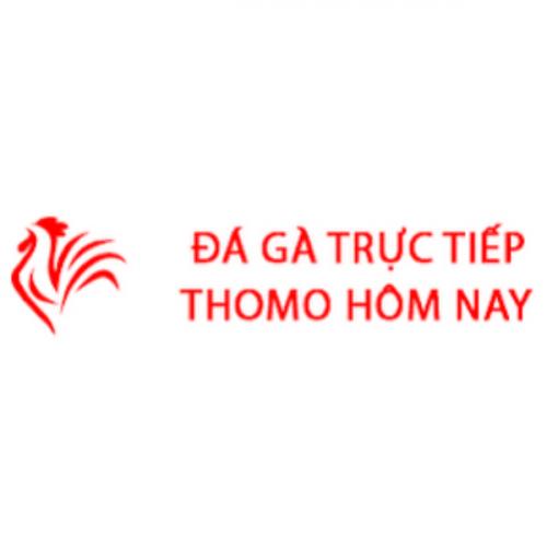 Đá gà trực tiếp thomo hôm nay