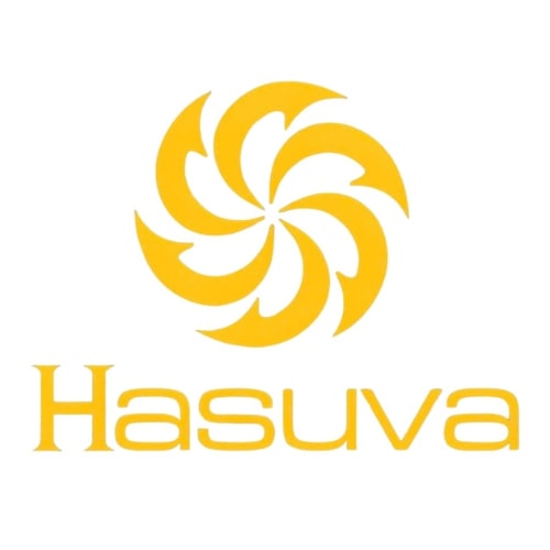 Đèn trang trí hasuva