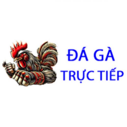 Đá gà trực tiếp