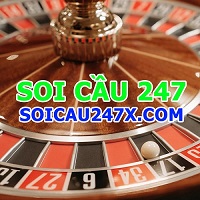 Soi cau 247 x com