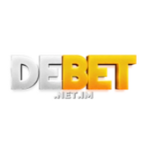Debet net im
