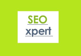 Seo xpert