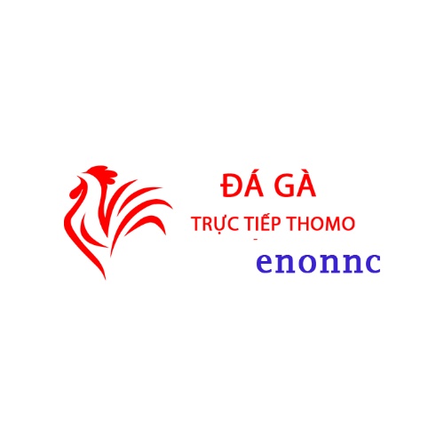 Đá gà trực tiếp thomo hôm nay