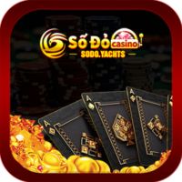 Sodo yachts