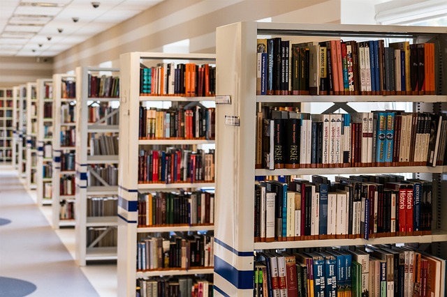 Summaryo books