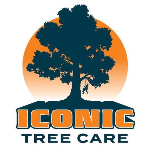 Iconic tree care