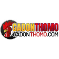 Đá gà trực tiếp gà đòn thomo c1
