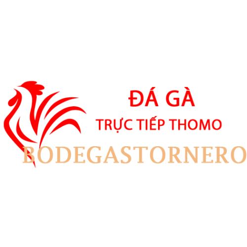Đá gà trực tiếp thomo