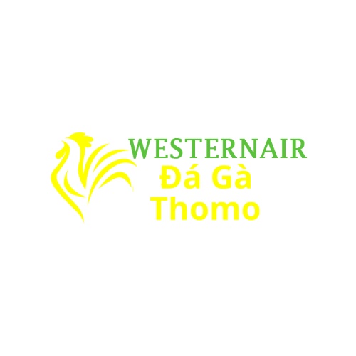 Đá gà trực tiếp thomo