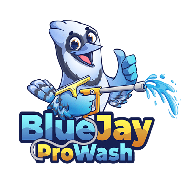 Blue jay pro wash