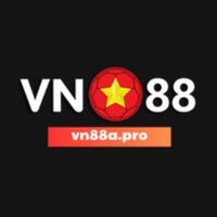 Vn 88