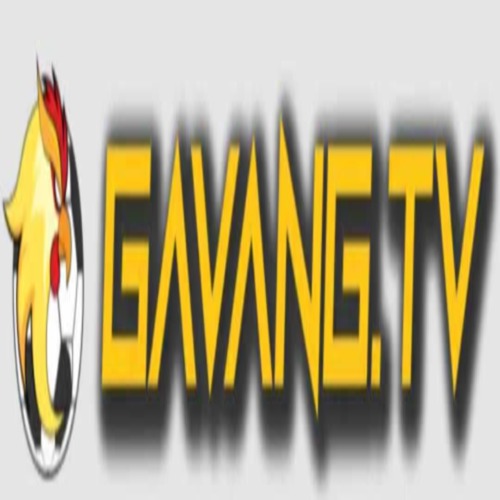 Gà vàng tv xem trực tiếp bóng đá