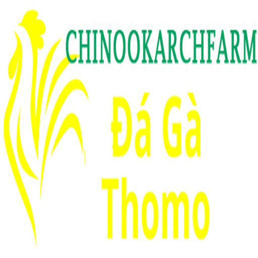Đá gà trực tiếp thomo