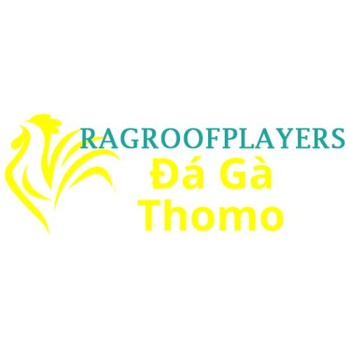 Đá gà trực tiếp thomo
