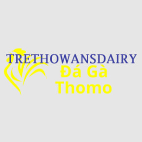 Đá gà trực tiếp thomo