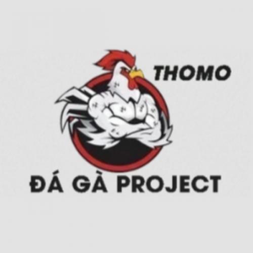 Đá gà trực tiếp thomo